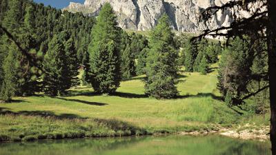 Col Raiser – St. Christina