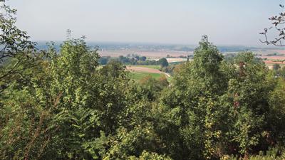 Schliefberg, 245 m