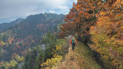 Romoos – Napf, 1406 m – Lüderenalp