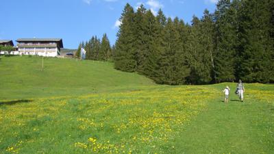 Schnippenkopf, 1833 m