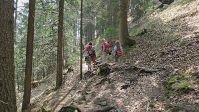 Salober Alm, 1080 m