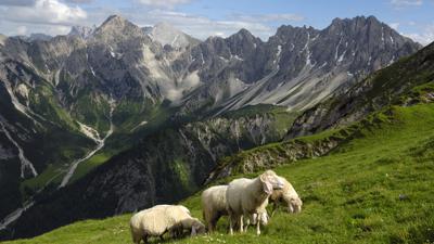 Reither Spitze, 2374 m