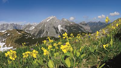 Sonnjoch, 2457 m