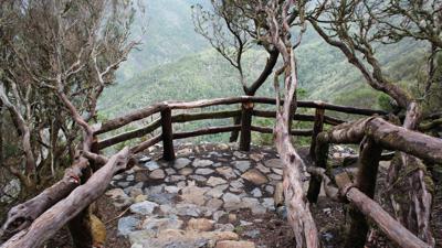 Jardín de Las Creces – Raso de la Bruma