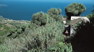 Von Barlovento nach Franceses