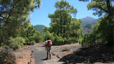 Tacande – Llano del Jable