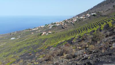 Von Los Quemados zur Playa de Punta Larga