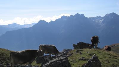 Fuorcla Champatsch, 2730 m