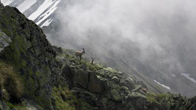 Munt Baselgia, 2945 m