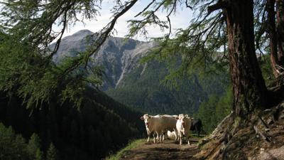 Ivraina, 2145 m