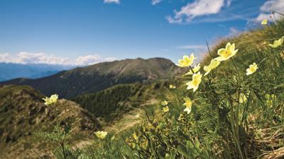 Lago Erdemolo und Inderschrumm/Sasso Rotto