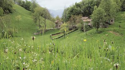 Monte Spitz di Recoaro (1181 m)