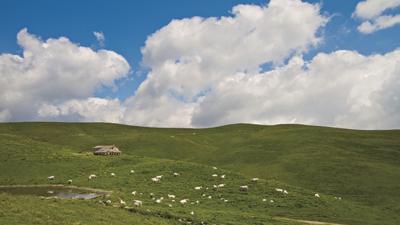 Durch das Vajo dell’Anguilla zum Monte Sparvieri
