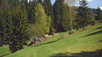 Traunsteiner Ringweg
