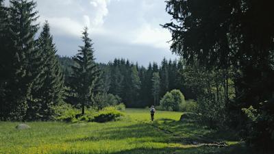Arbesbacher Kamprunde