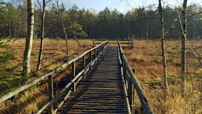 Naturpark »Heidenreichsteiner Moor«