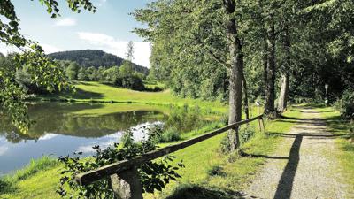 Waldhausener Ausblickrunde
