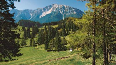 Um Schober und Öhler