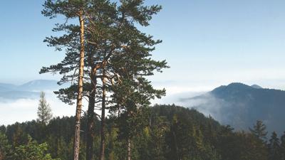 Großer Neukogel, 1053 m