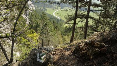 Hohe Wand: Völlerinsteig
