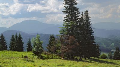 Jochart, 1266 m