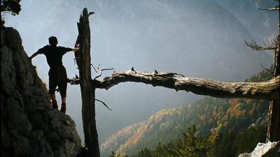Stadelwand und Hochgang