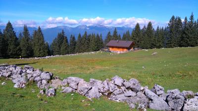 Wörnerkopf (Steinkarlkopf)