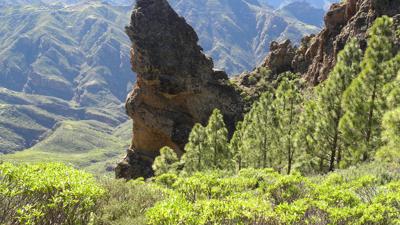 Cruz de Tejeda – Cuevas del Caballero