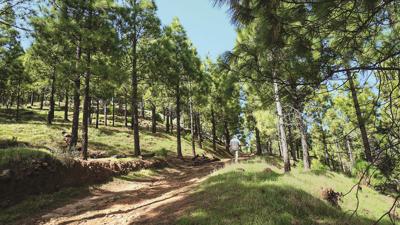 Montaña de Artenara