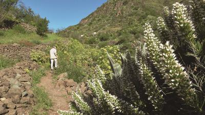 Durch den Barranco de Guayadeque