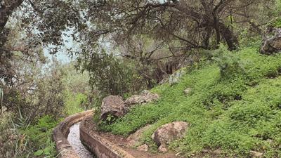 Barranco de los Cernícalos