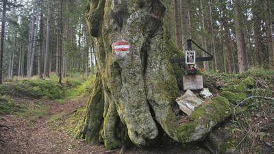 Hochschlag und Aibel