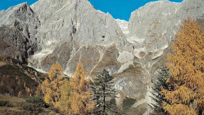 Arthurhaus – Dientner Sattel