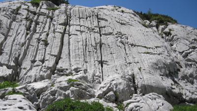 Robon: Blumen und Karst