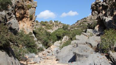 Tal der Toten 2