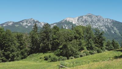 Zwiesel, 1782 m