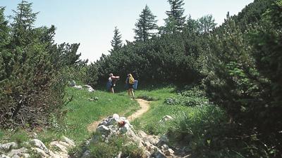 Über die Untersberg-Hochfläche