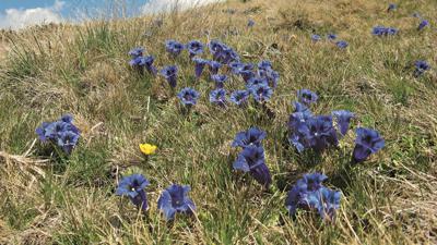 Mirnock, 2110 m