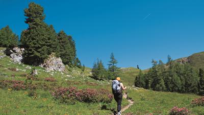 Königstuhl, 2336 m