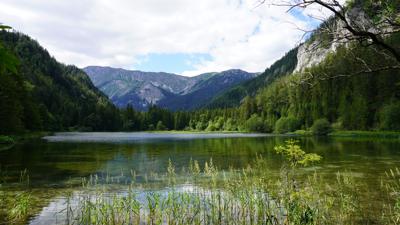 Von Seewiesen zum Dürrsee, 906 m