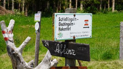 Schießlingalm und Schießling, 1667 m
