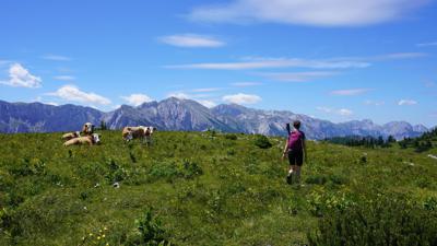 Hintere Halterhütte und Zinken, 1619 m