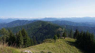 Auf den Thalerkogel, 1655 m