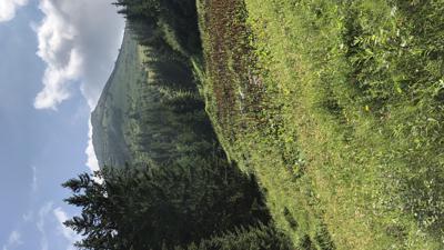 Bosruck vom Pyhrnpass