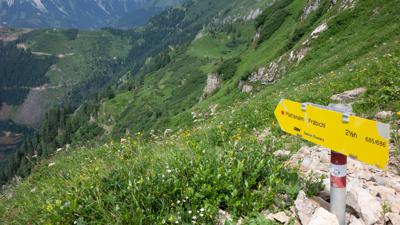 Eisenerzer Reichenstein über Große Scharte