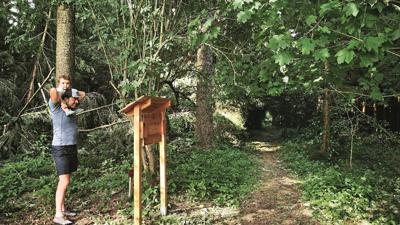 Baumenergieweg Panholz