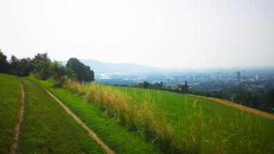 Auf und Ab am Bachlberg