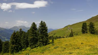 Legalalm, 1904 m, und Kapaunsalm, 1911 m