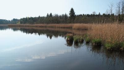 Bernried mit Hinterland