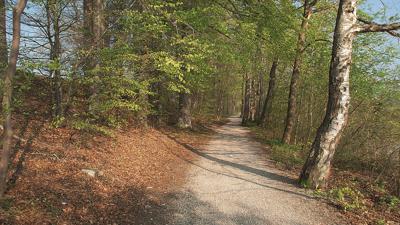 Von Seeshaupt nach Bernried
